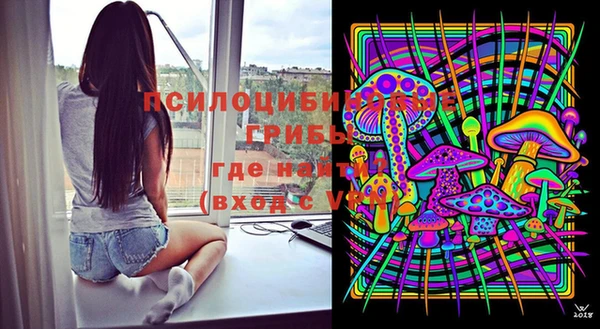 PSILOCYBIN Остров