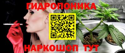 СК Абакан