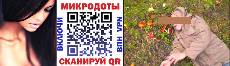 hydra tor  Сыктывкар  Псилоцибиновые грибы Psilocybine cubensis  наркота 