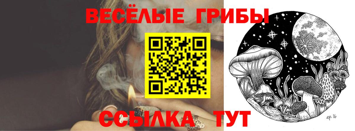 Галлюциногенные грибы MAGIC MUSHROOMS Сыктывкар