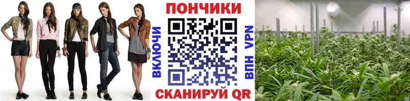 Каннабис конопля  МЕГА рабочий сайт  Сыктывкар  цены наркотик 
